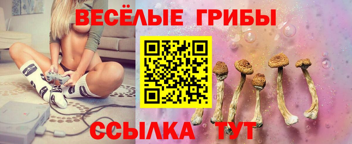 Псилоцибиновые грибы Cubensis Минусинск