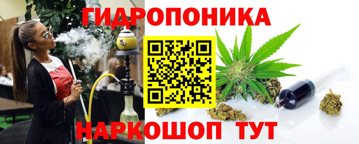 Конопля сатива Минусинск